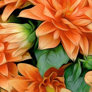Orange Dahlias
