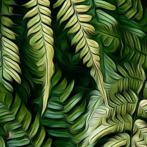 Ferns fine art print